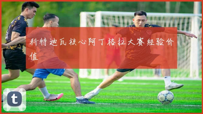 科特迪瓦核心阿丁格拉大赛经验价值 — 详细说明