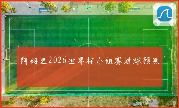 阿姆里2026世界杯小组赛进球预测