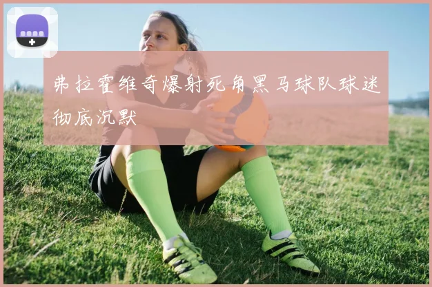 弗拉霍维奇爆射死角黑马球队球迷彻底沉默 · 用户常问