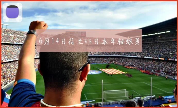 6月14日荷兰vs日本年轻球员 — 详细说明