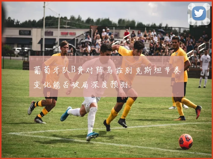 葡萄牙队B费对阵乌兹别克斯坦节奏变化能否破局深度预测
