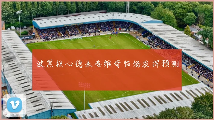 波黑核心德米洛维奇临场发挥预测