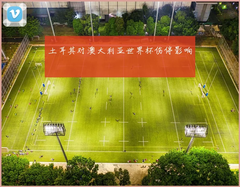 土耳其对澳大利亚世界杯伤停影响