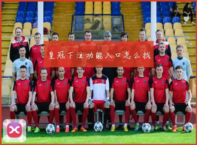 皇冠下注功能入口怎么找