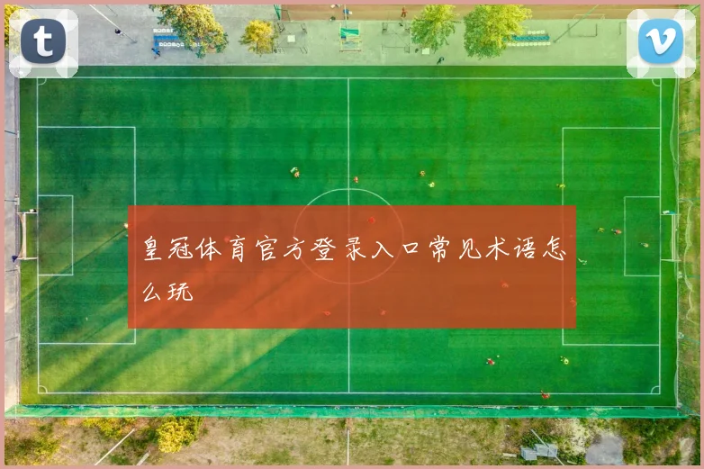 皇冠体育官方登录入口常见术语怎么玩