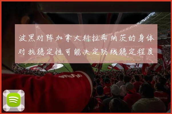 波黑对阵加拿大科拉希纳茨的身体对抗稳定性可能决定防线稳定程度