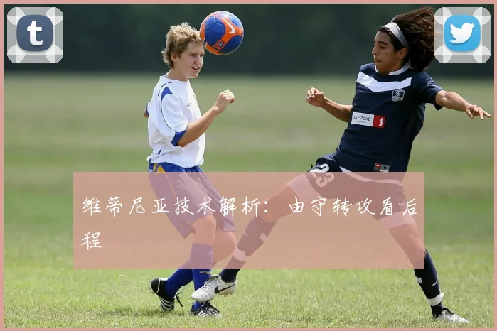 维蒂尼亚技术解析：由守转攻看后程